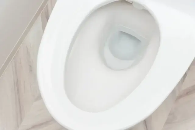 イナックス（現LIXIL）のトイレ修理完全ガイド！自分で直す？公式サービスに頼む？業者に頼む？費用は？最適な選択を徹底解説
